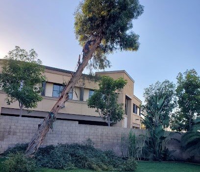 About Tustin, CA